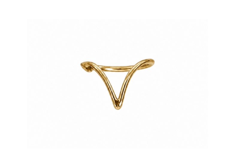Aries ring